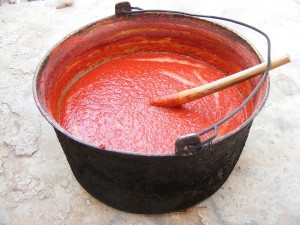 pasta sauce tomato